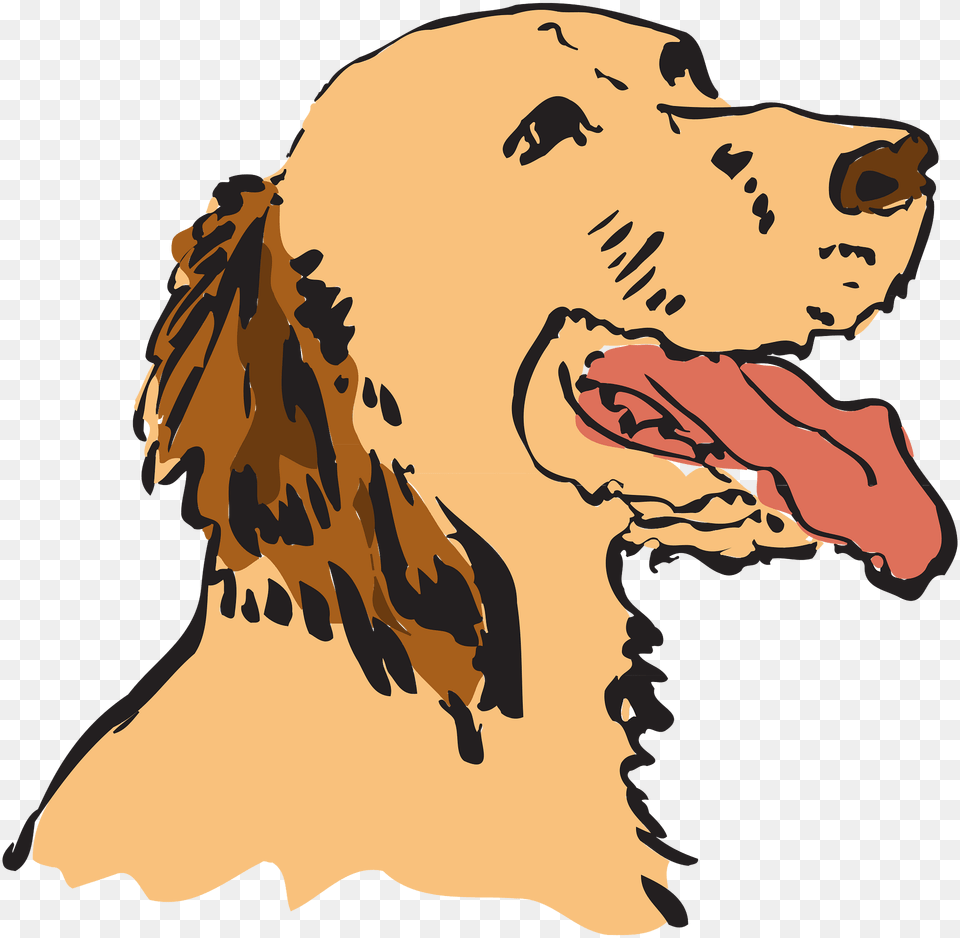 Dog Clipart, Animal, Canine, Golden Retriever, Mammal Png