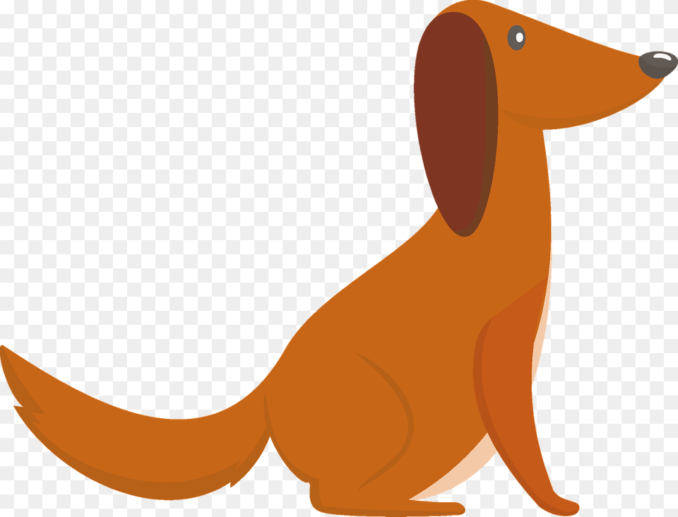 Dog Clipart, Animal, Fish, Sea Life, Shark Png