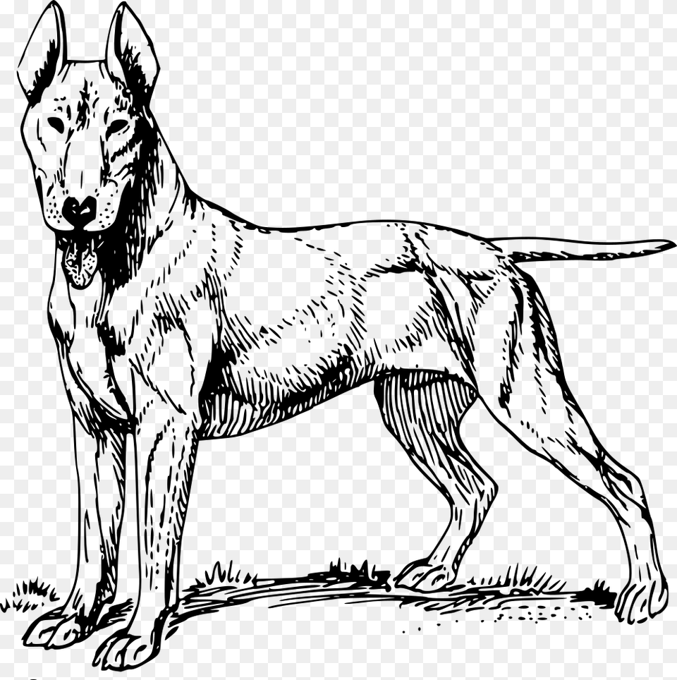 Dog Clipart Bull Terrier Hot Dog, Gray Free Png Download