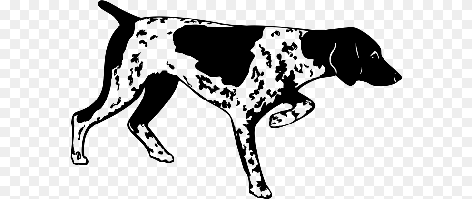 Dog Clipart Gsp Pointer Silhouette Bird Dog Silhouette, Gray Png Image