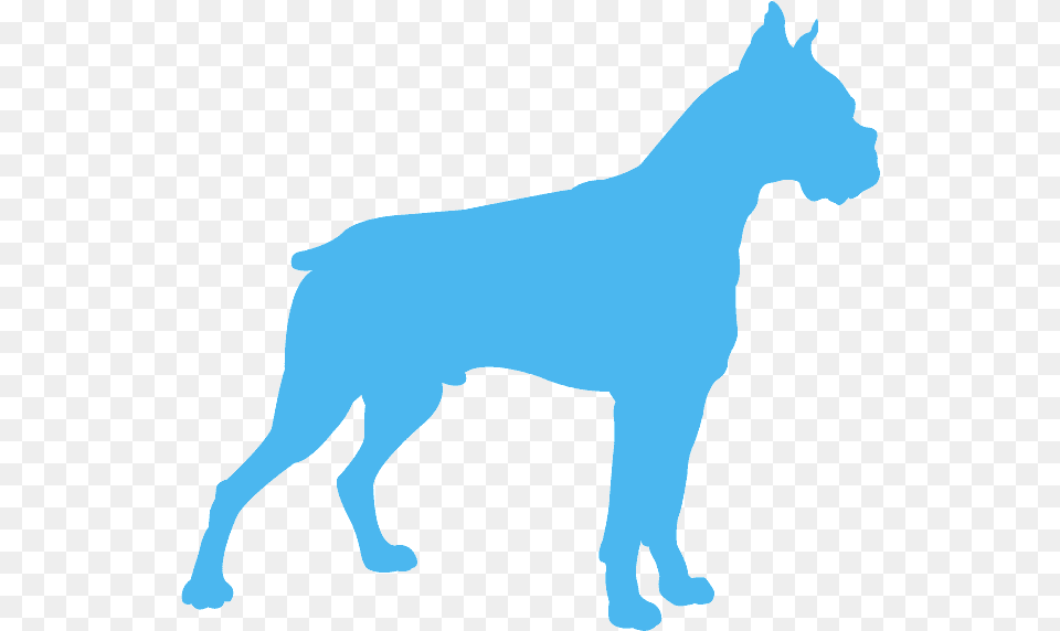 Dog Clipart Silhouette Boxer, Person, Animal, Horse, Mammal Png Image