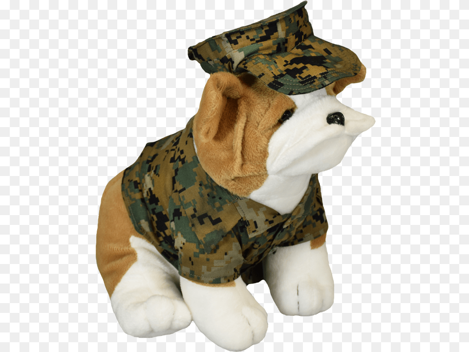 Dog Clothes, Military, Military Uniform, Camouflage Png Image