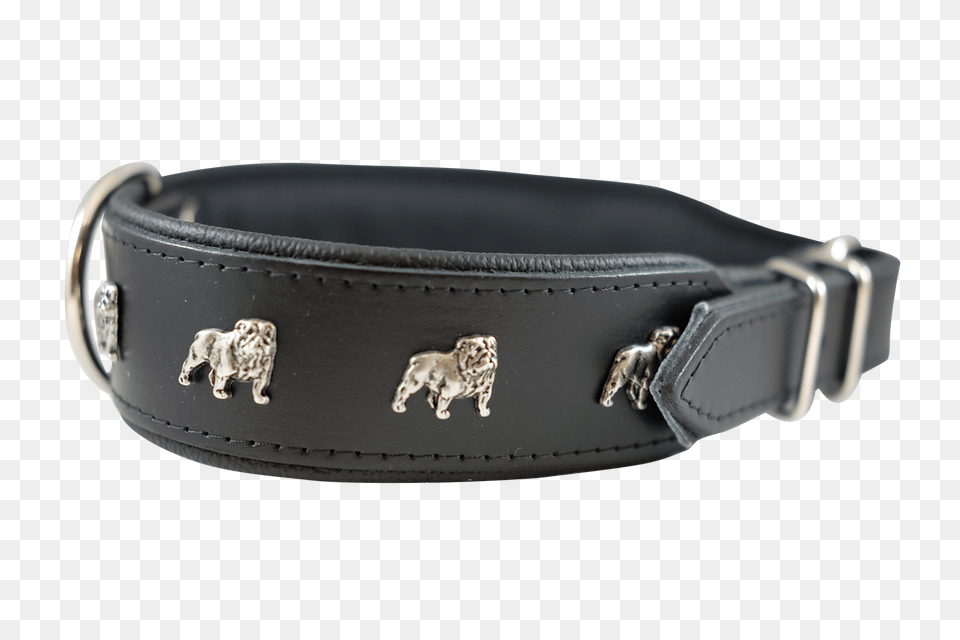 Dog Collar, Accessories, Buckle, Animal, Lion Png