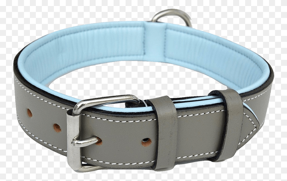 Dog Collar, Accessories, Belt Free Png Download