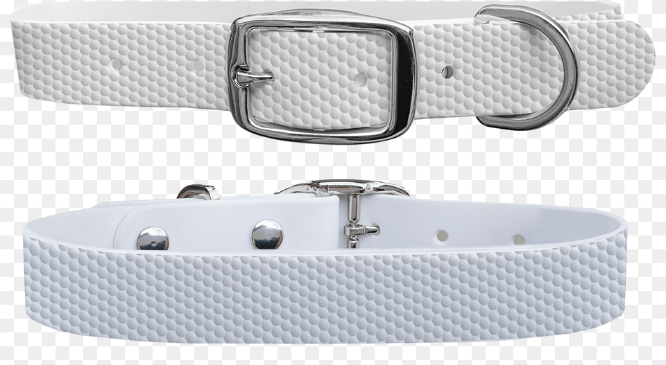 Dog Collar, Accessories, Buckle, Hot Tub, Tub Free Png
