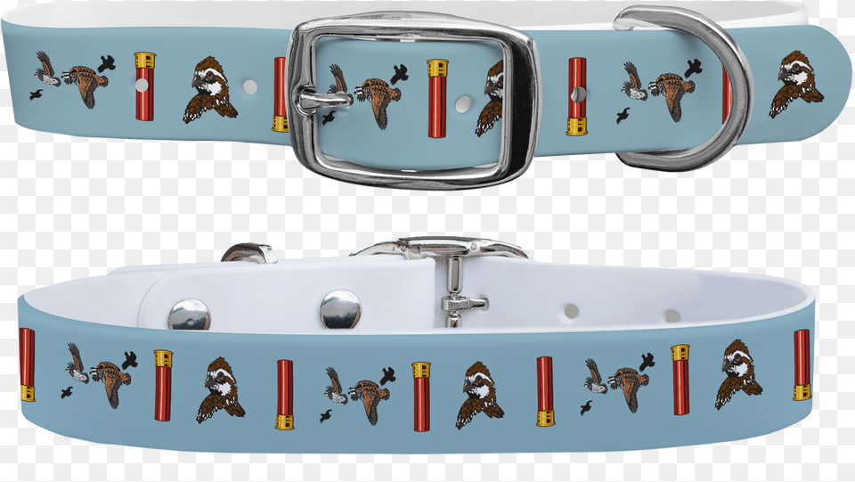 Dog Collar, Accessories, Buckle, Hot Tub, Tub Free Transparent Png