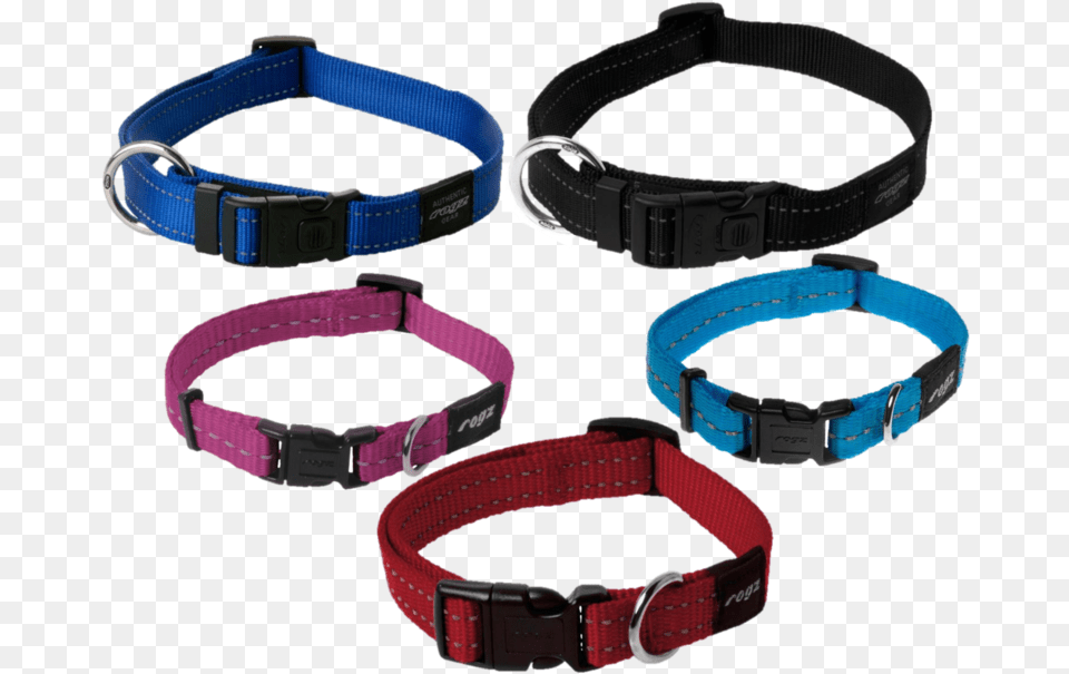 Dog Collar, Accessories, Buckle, Belt Png Image