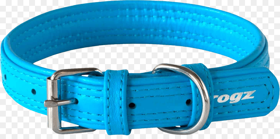 Dog Collar, Accessories, Buckle, Hot Tub, Tub Png