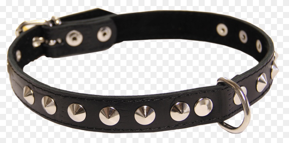 Dog Collar, Accessories, Belt Free Png Download