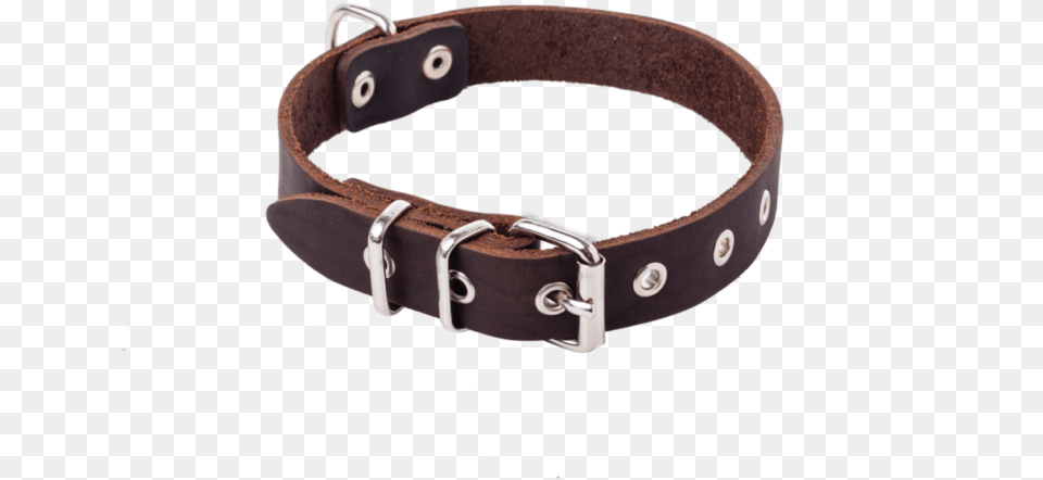 Dog Collar 22cm Great Dane, Accessories, Buckle Free Transparent Png