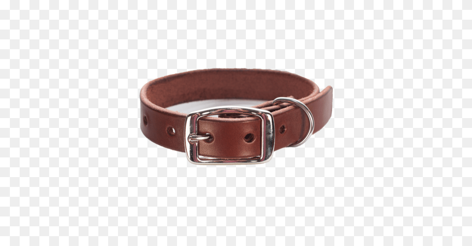 Dog Collar, Accessories, Buckle, Belt Png