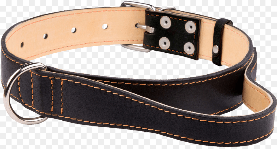 Dog Collar, Accessories, Strap, Belt, Clothing Free Png