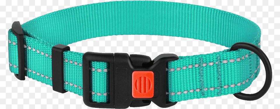 Dog Collar, Accessories Png