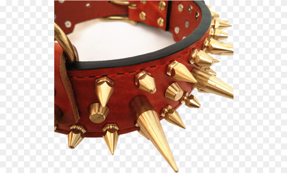 Dog Collar, Accessories Free Png Download
