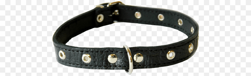 Dog Collar, Accessories Free Png