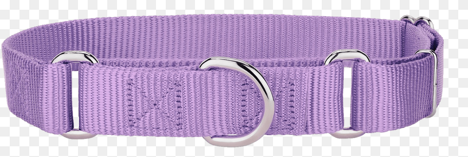 Dog Collar, Accessories, Buckle Png Image