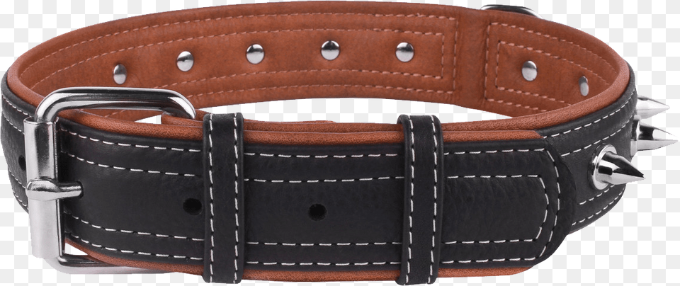 Dog Collar, Accessories, Belt Png Image