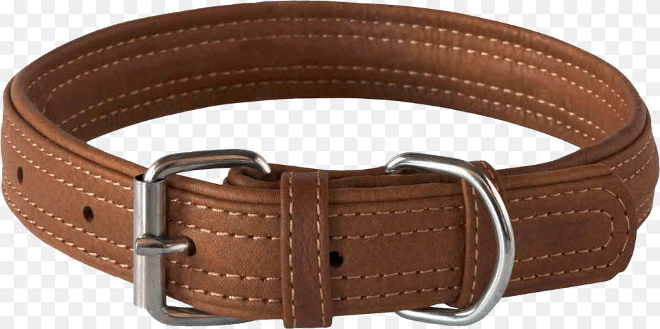 Dog Collar, Accessories, Belt, Buckle Free Png Download