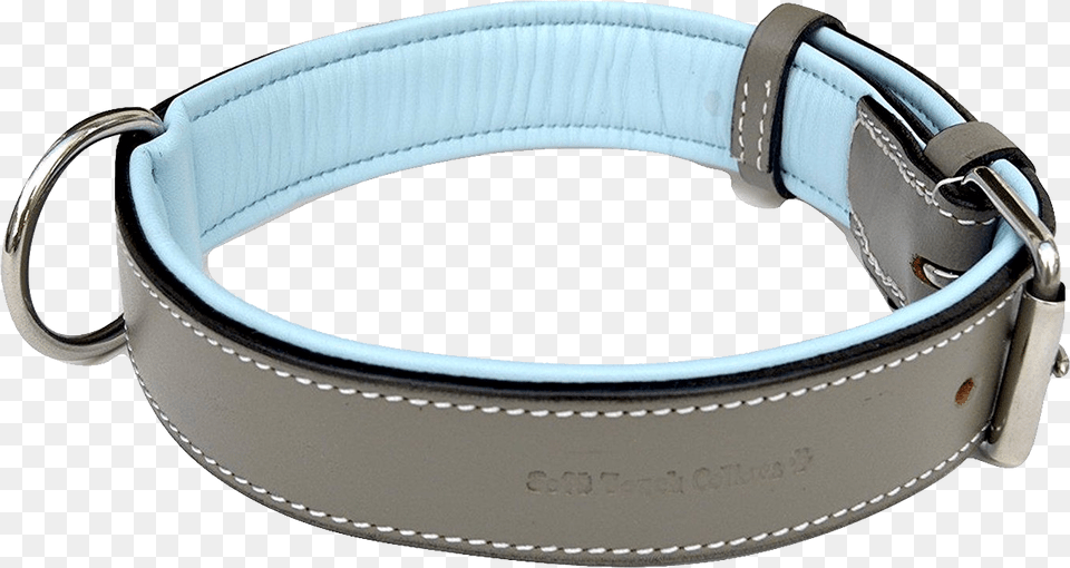 Dog Collar, Accessories Png