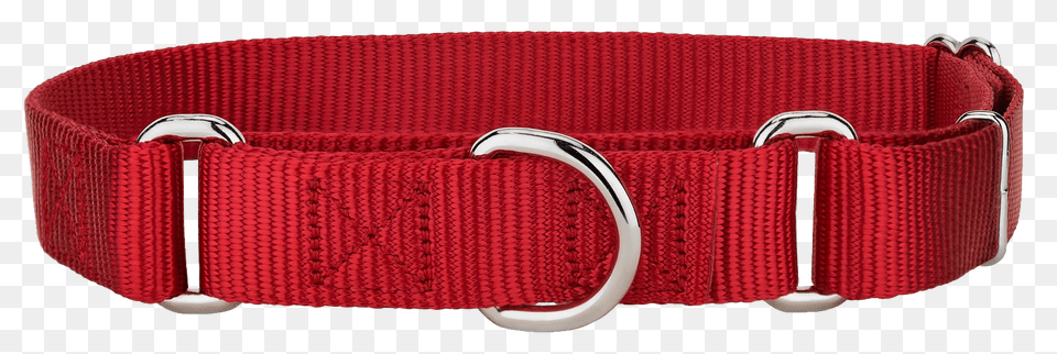 Dog Collar, Accessories, Belt, Buckle Png Image