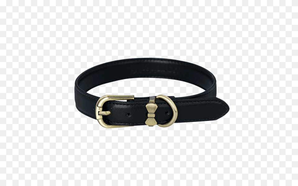 Dog Collar, Accessories, Belt, Buckle Free Png
