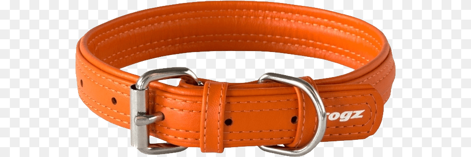 Dog Collar, Accessories, Belt, Buckle, Hot Tub Free Png