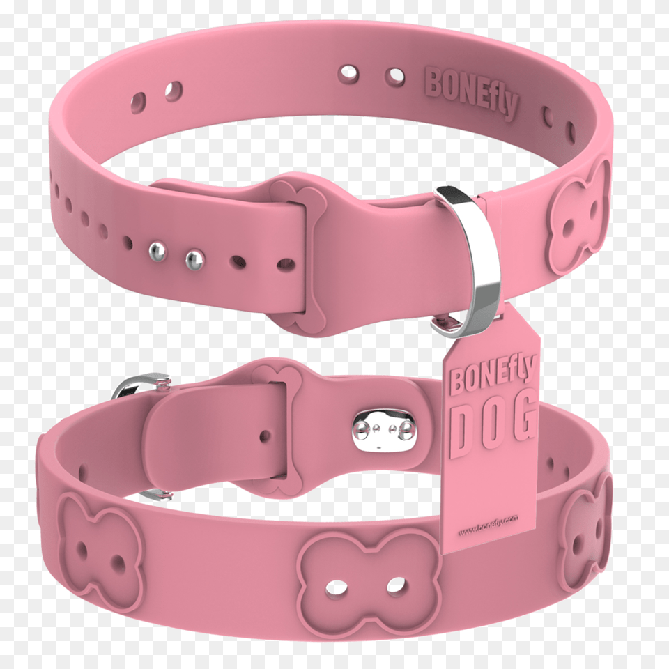 Dog Collar, Accessories, Clothing, Hardhat, Helmet Free Png Download