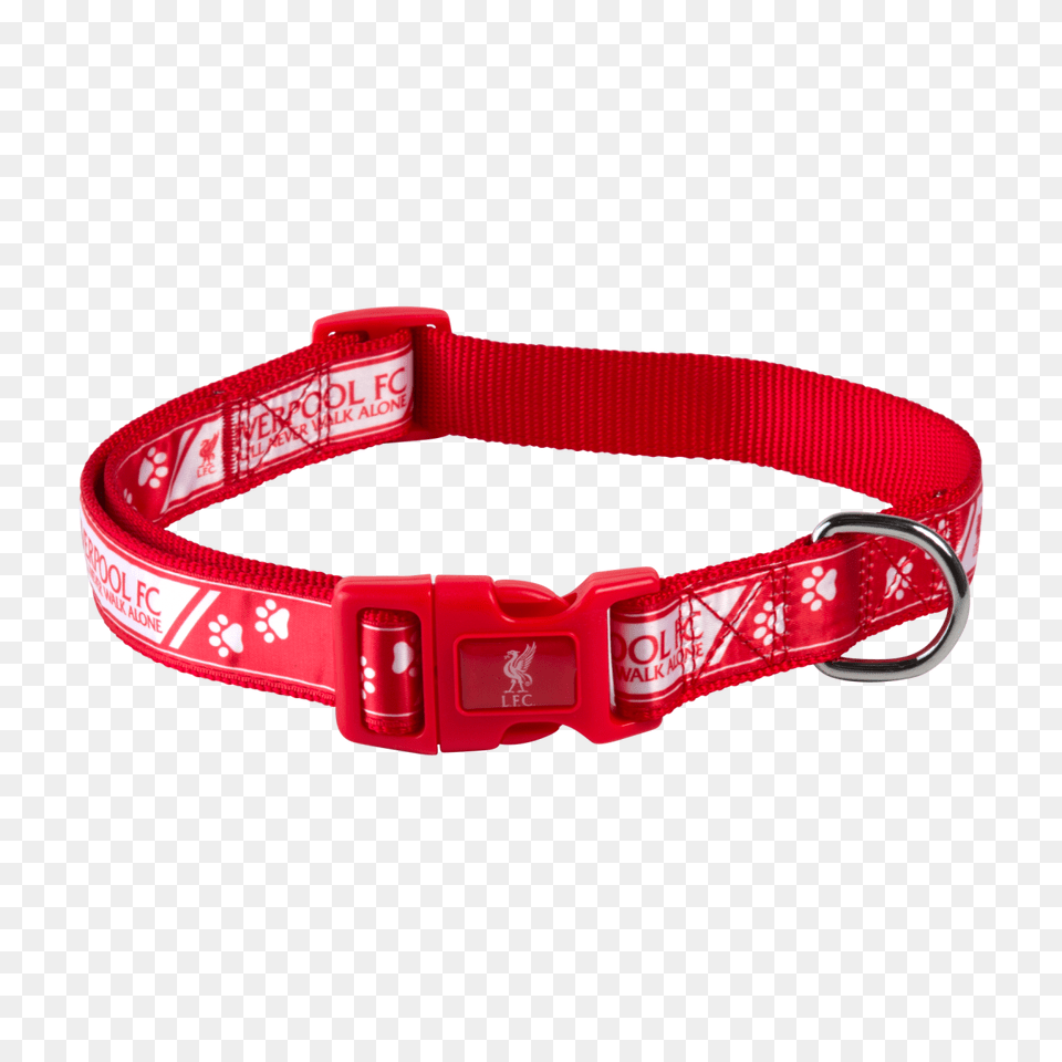 Dog Collar, Accessories, Belt Free Png