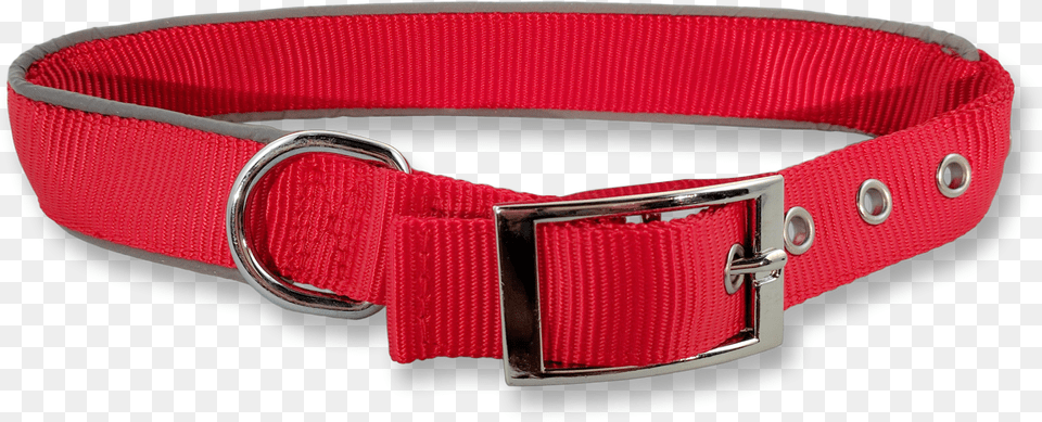 Dog Collar, Accessories, Belt, Buckle Free Transparent Png
