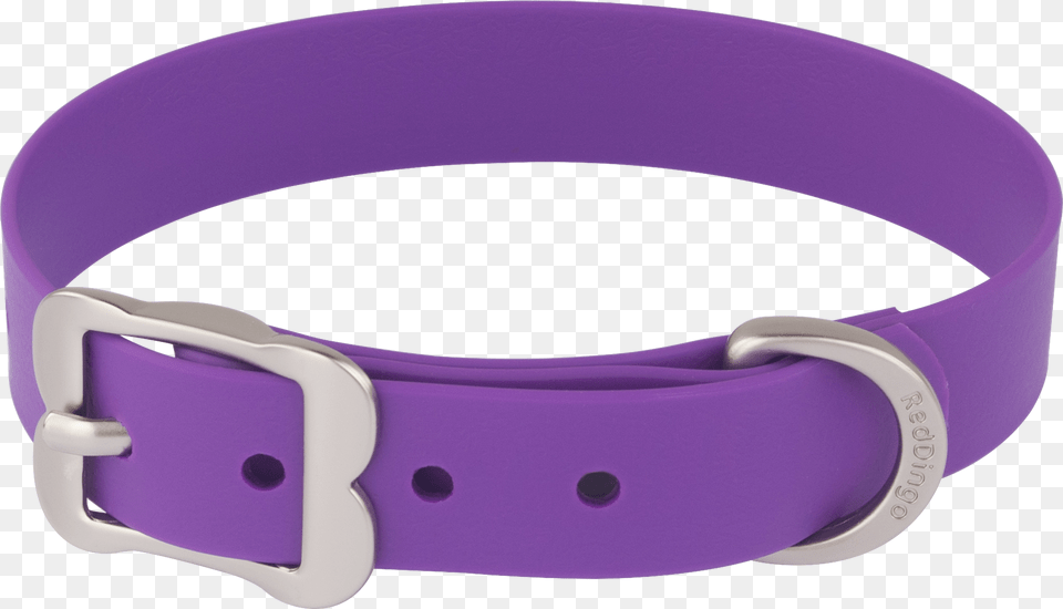 Dog Collar, Accessories, Belt Png Image