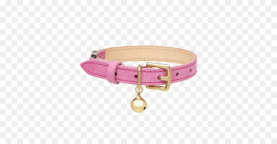 Dog Collar, Accessories, Belt Png