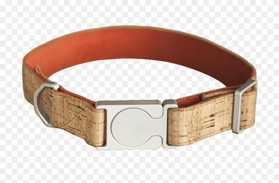 Dog Collar, Accessories, Belt, Buckle Free Png Download