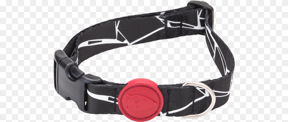Dog Collar Belt, Accessories Free Png Download