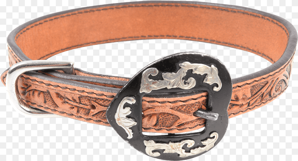 Dog Collar Buckle, Accessories, Belt Png Image