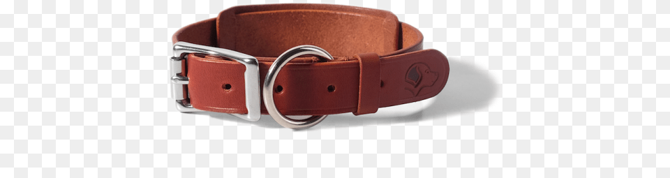Dog Collar Chestnut Dog Collar, Accessories, Belt, Buckle Png Image