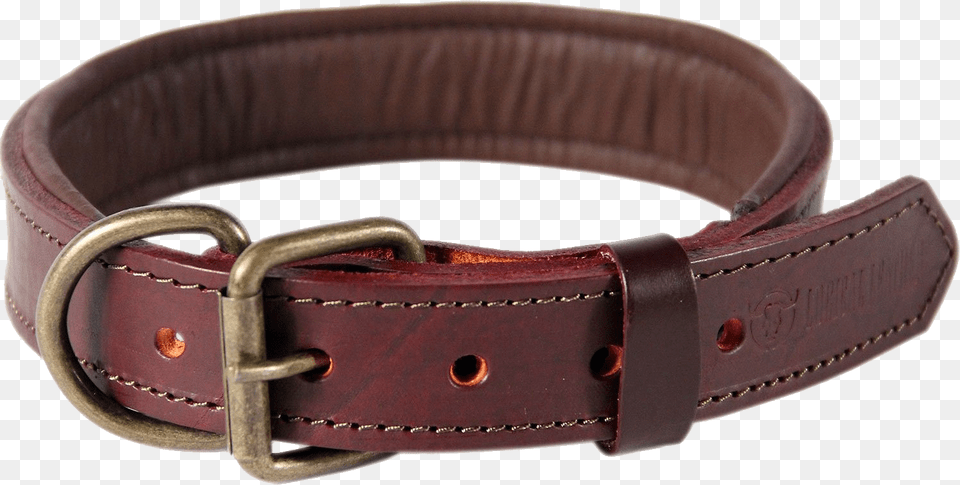 Dog Collar Dog Collar Leather, Accessories, Belt, Buckle Png