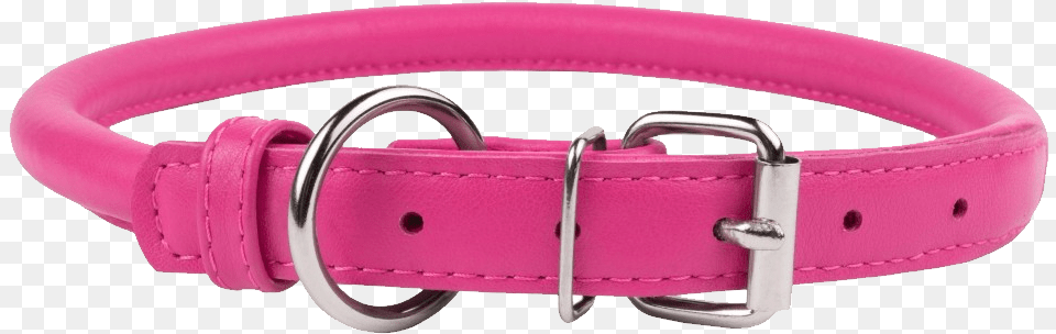 Dog Collar Dog Collar Background, Accessories Free Transparent Png