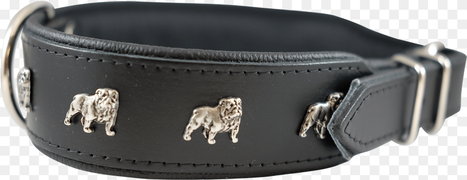 Dog Collar Great Dane, Accessories, Animal, Lion, Mammal Free Png