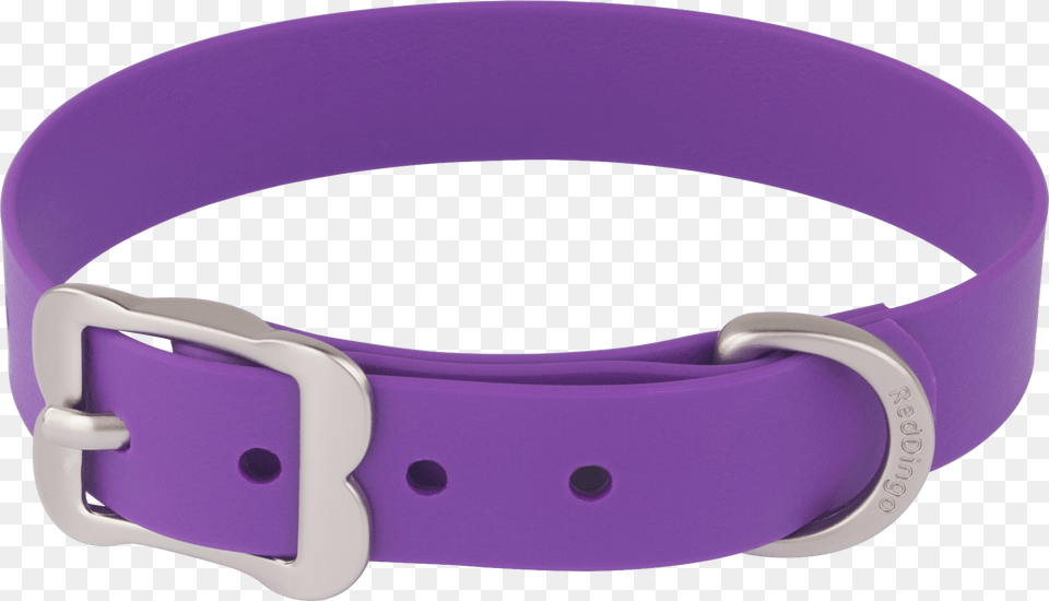 Dog Collar Red Dingo Vivid Pvc Dog Collar X Small Purple, Accessories, Belt Free Png