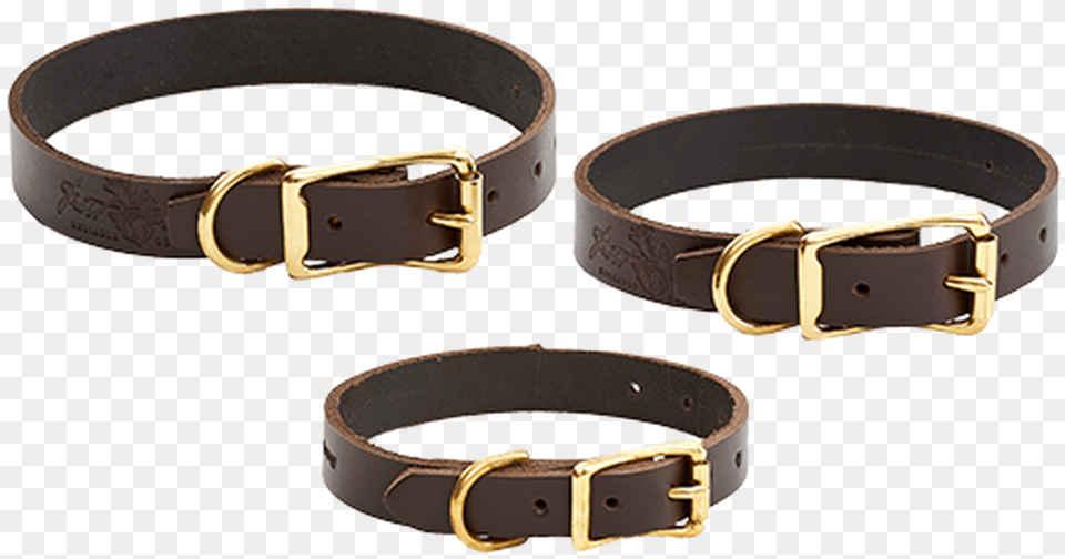Dog Collars Buckle, Accessories, Belt Png Image