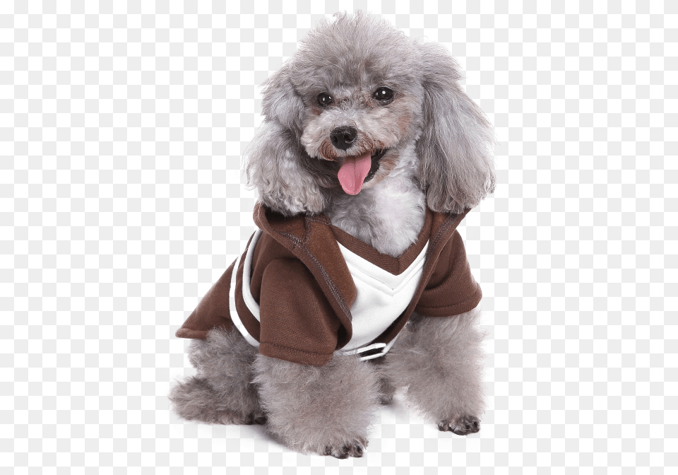 Dog Costume Star Wars Transparent, Animal, Mammal, Canine, Pet Png Image