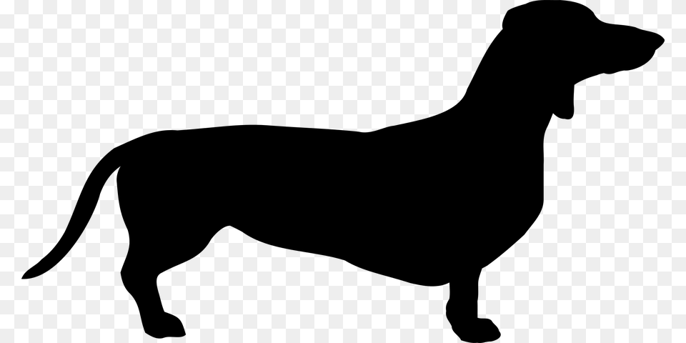 Dog Dachshund Breed Pet Coat Cricut Adventures, Gray Free Transparent Png