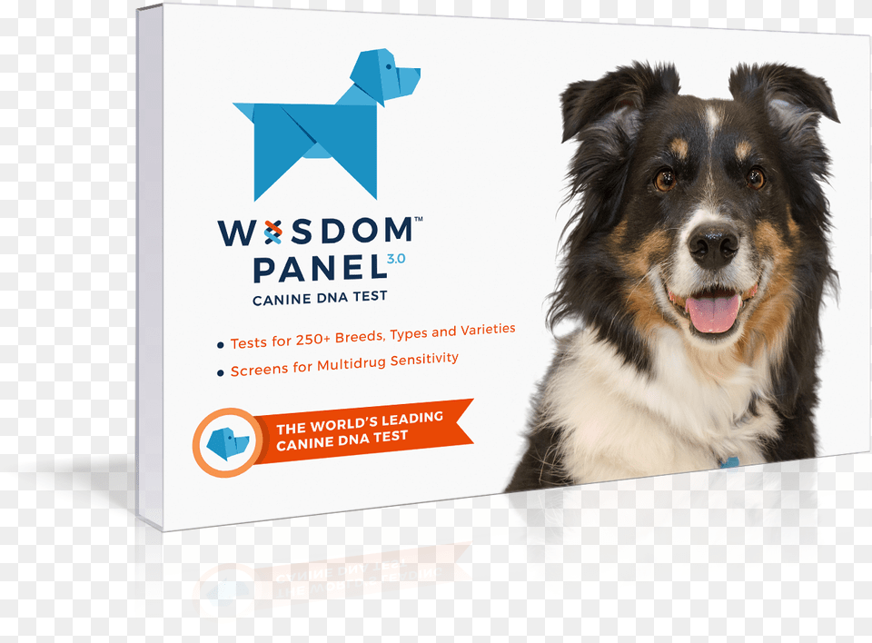 Dog Dna Test Kit, Advertisement, Poster, Animal, Canine Free Transparent Png