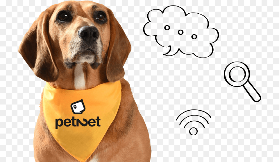 Dog Dog, Animal, Canine, Hound, Mammal Png