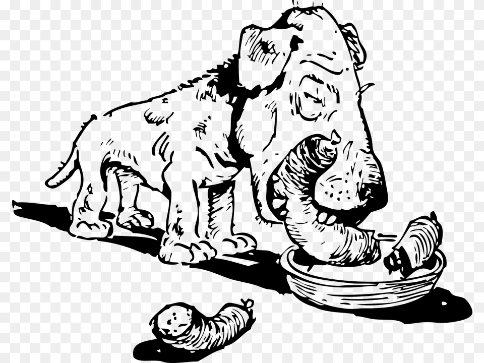 Dog Dog Bowl Dog Food Canine Sausage Cartoon Dog Eats Cat, Gray Png Image