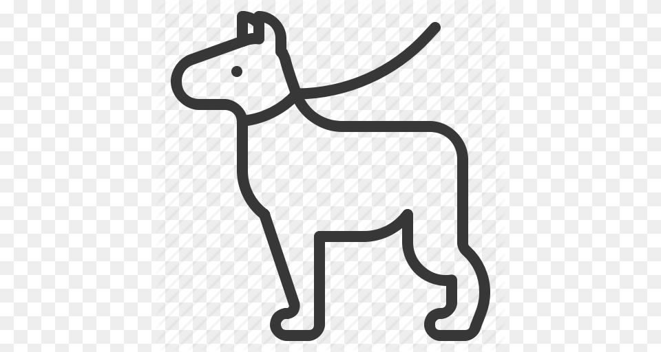 Dog Dog Leash Leash Pet Icon, Gate, Animal, Mammal, Canine Free Png Download