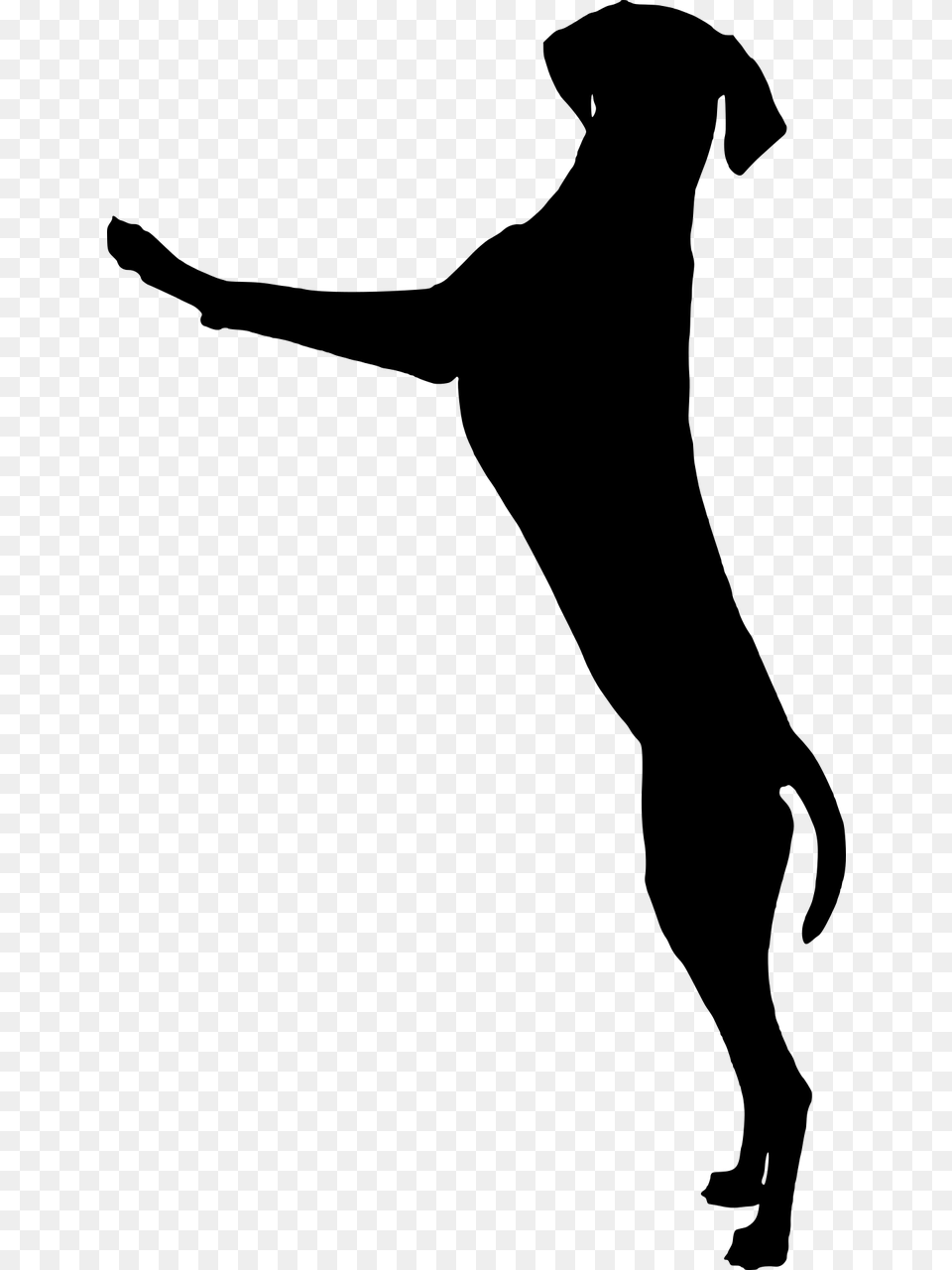 Dog Dog Standing Playing Silhouette, Gray Png Image