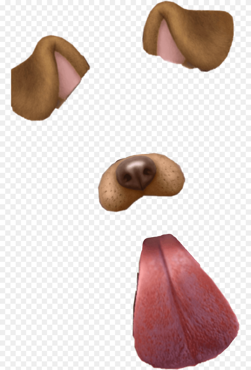 Dog Dogfilter Snapchat Snapchatfilter Tongueout Pictographic Writing System, Flower, Petal, Plant, Body Part Png