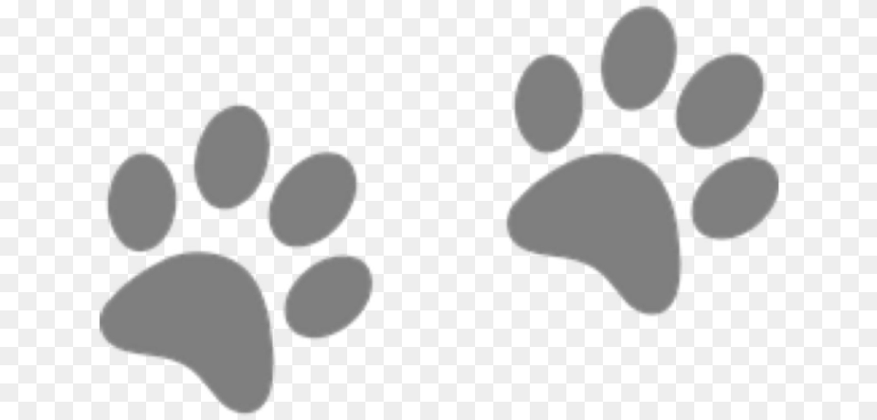 Dog Dogs Prints Footprints Paws Paw Pawprints Orange And Blue Paw Print, Footprint Free Png