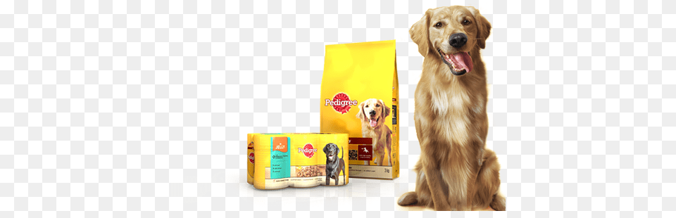 Dog Eating Food Pedigree Logo, Animal, Canine, Golden Retriever, Mammal Free Png